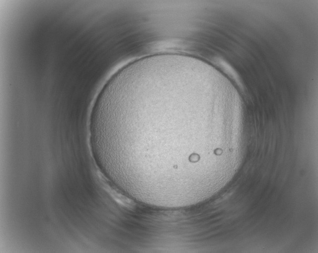 X0000068271435200605121834