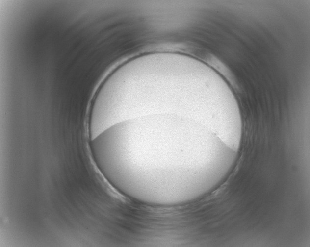 X0000068271436200605121834