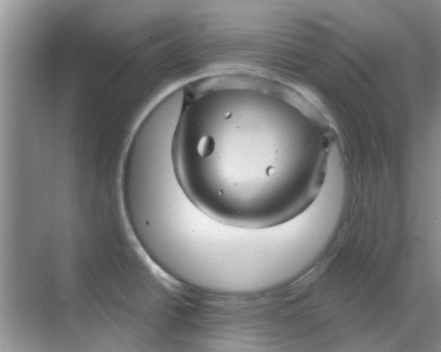 X0000068271438200605121834