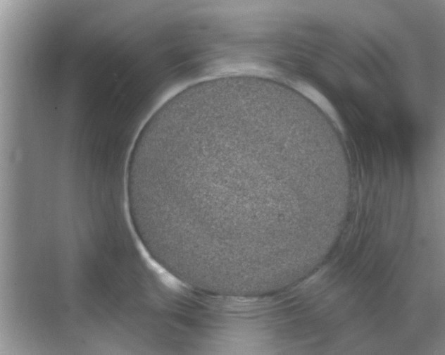 X0000068271439200605121835