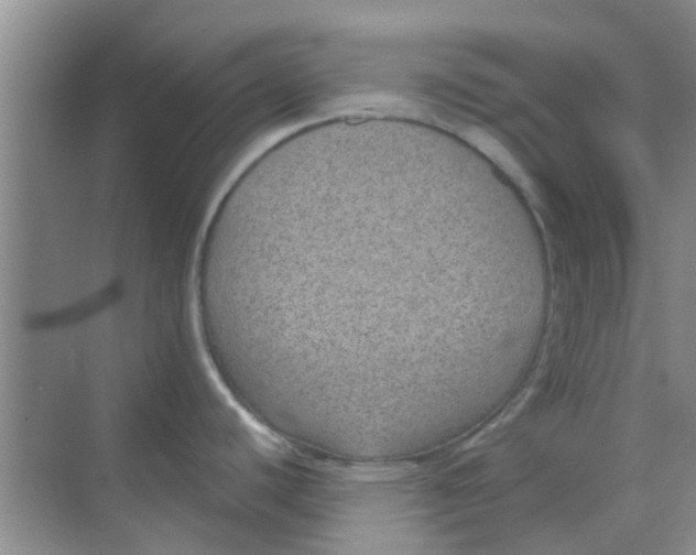 X0000068271440200605121835