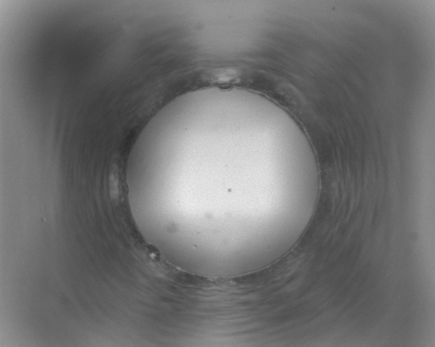 X0000068271442200605121834