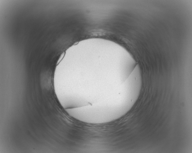 X0000068271444200605121834