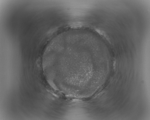 X0000068271445200605121834