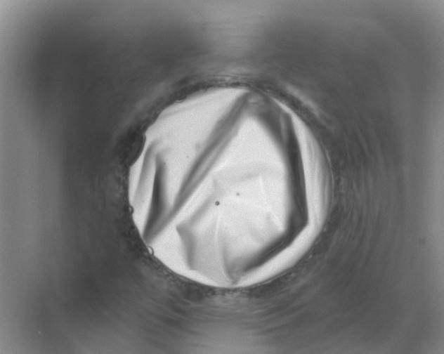 X0000068271447200605121834