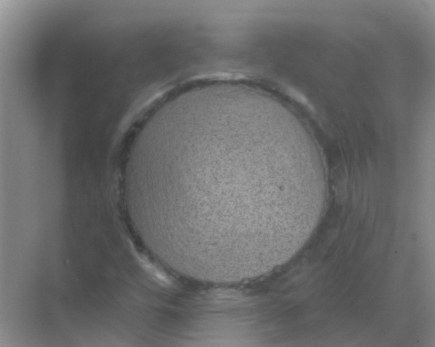 X0000068271448200605121834