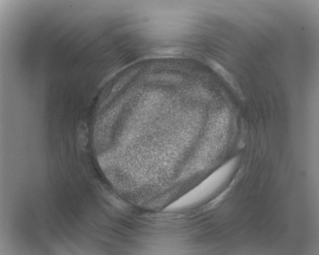 X0000068271449200605121834