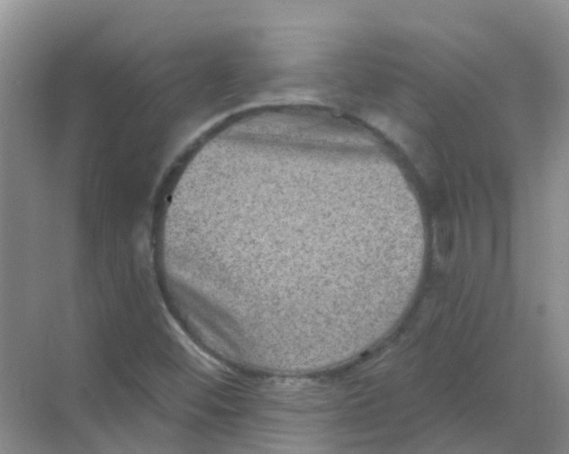 X0000068271452200605121834