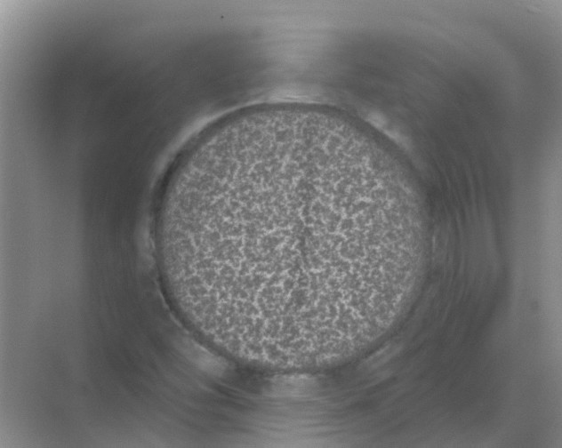 X0000068271454200605121833