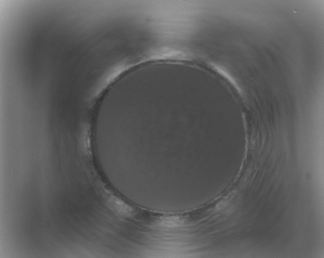 X0000068271455200605121833