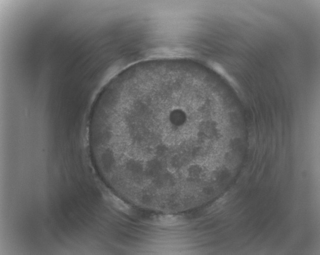 X0000068271459200605121833