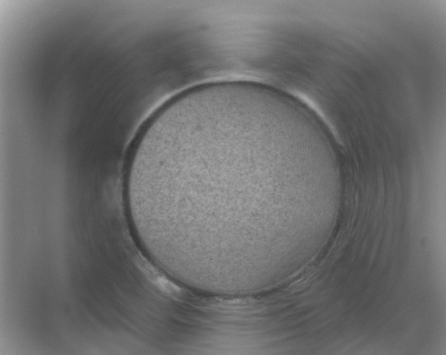 X0000068271460200605121833