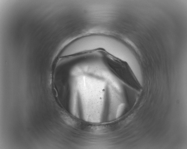 X0000068271461200605121833