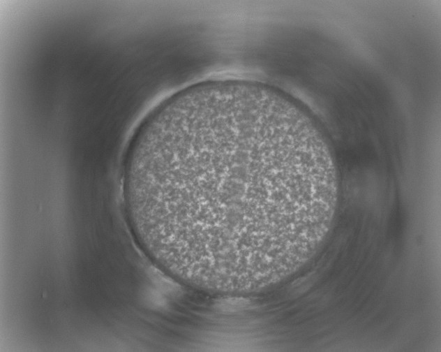 X0000068271462200605121833