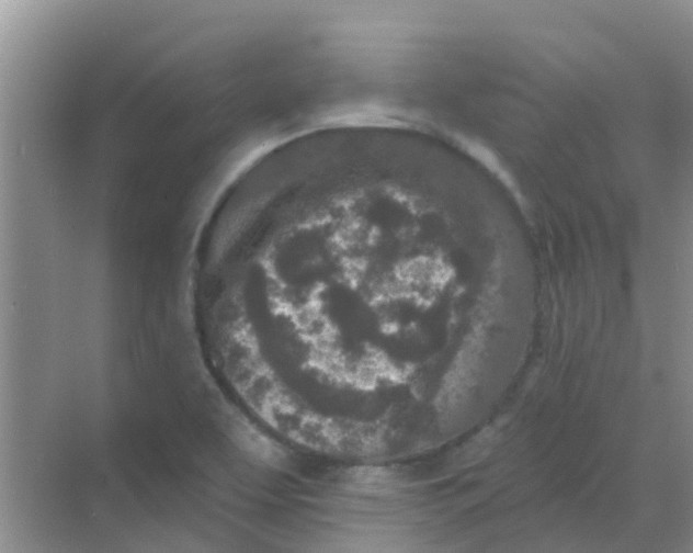 X0000068271463200605121833