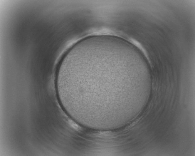 X0000068271464200605121833