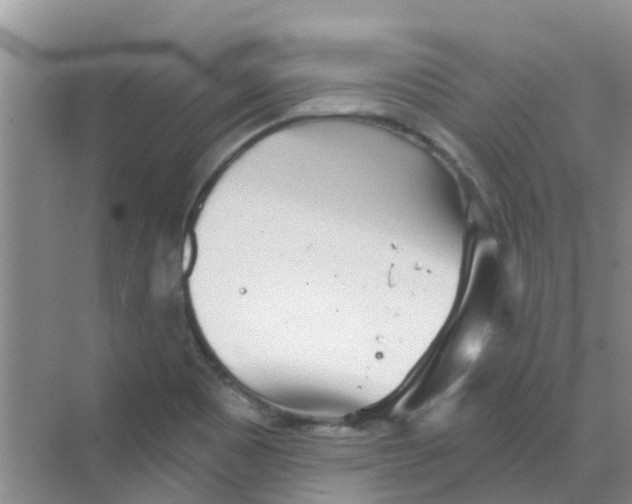 X0000068271465200605121833