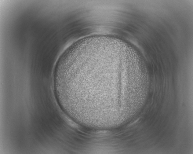 X0000068271467200605121833