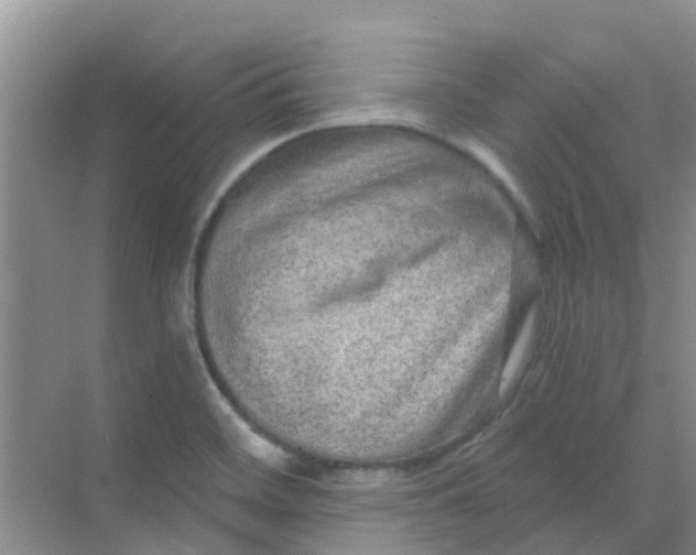 X0000068271468200605121833