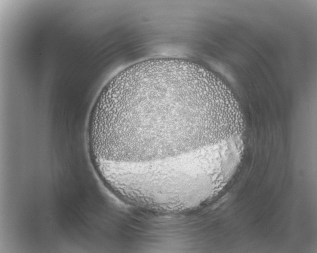 X0000068271471200605121833