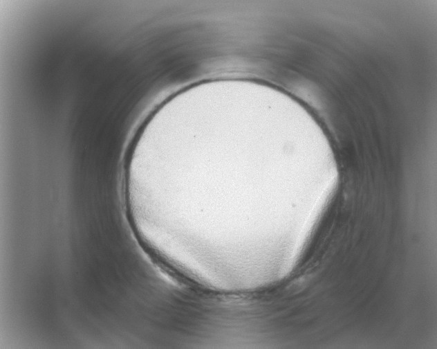 X0000068271472200605121833