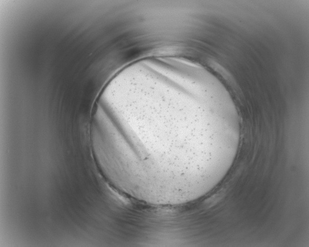 X0000068271473200605121833