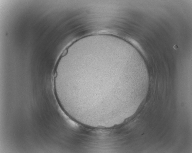 X0000068271476200605121833