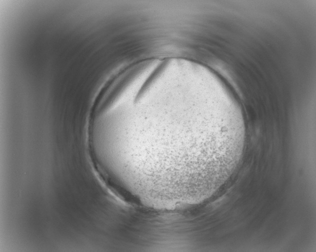 X0000068271477200605121833