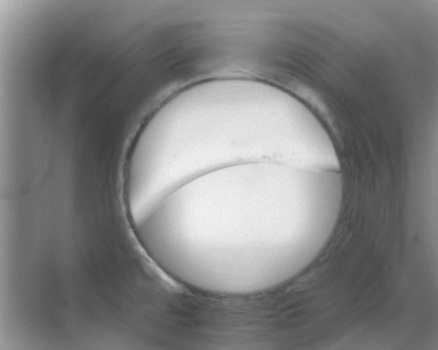 X0000068271480200605121833