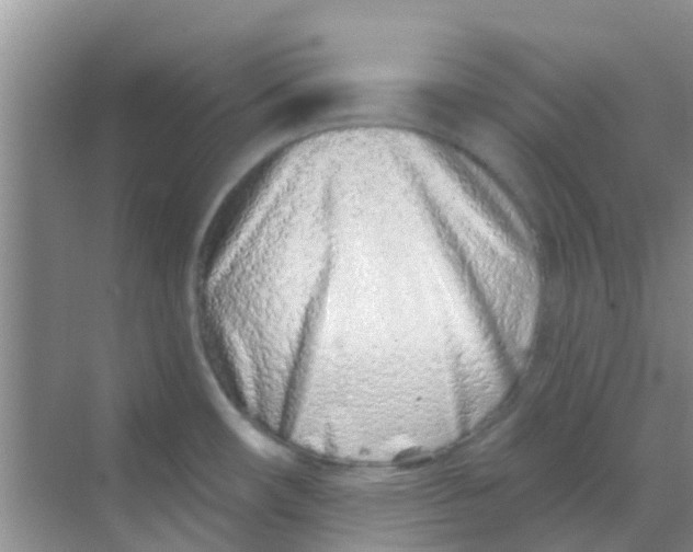 X0000068271482200605121833