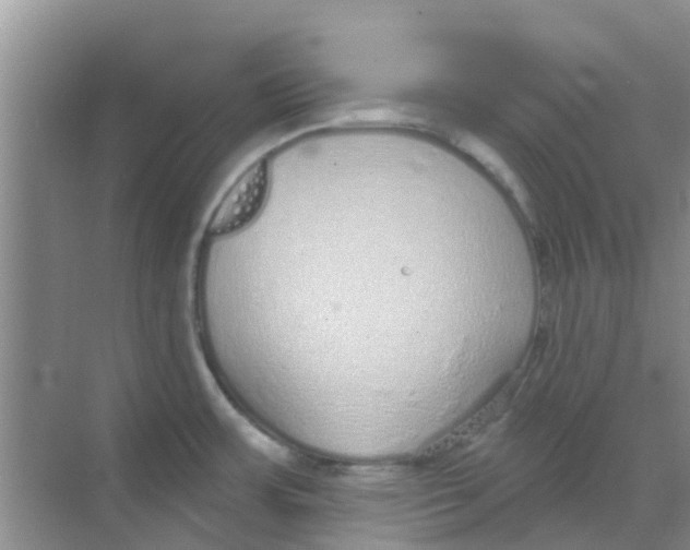 X0000068271483200605121833