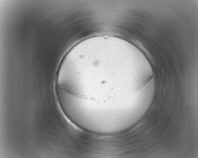 X0000068271484200605121833