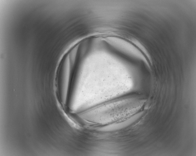 X0000068271485200605121833