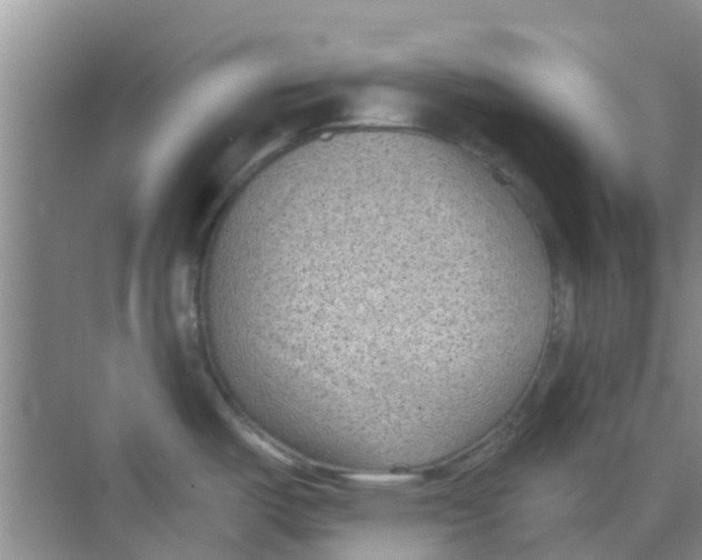 X0000068271487200605121833