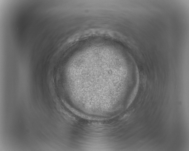 X0000068271489200605121832