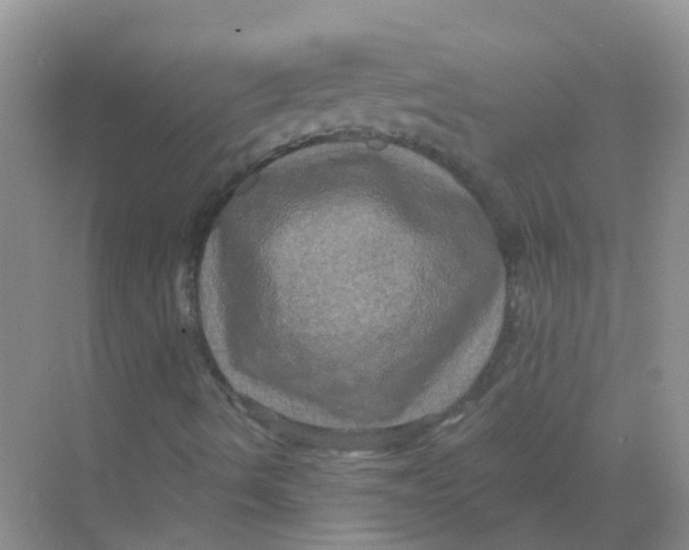 X0000068271490200605121832