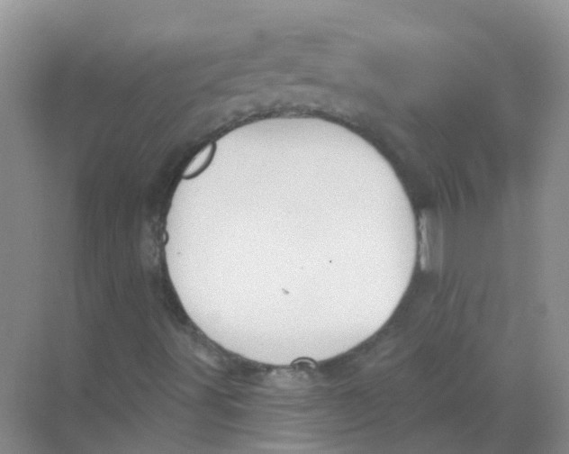 X0000068271491200605121832