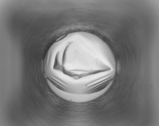 X0000068271492200605121832