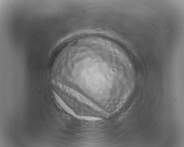 X0000068271494200605121832