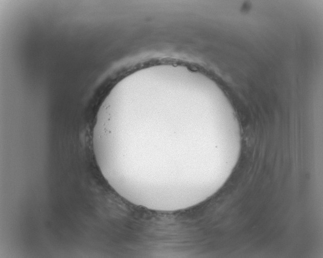 X0000068271495200605121832