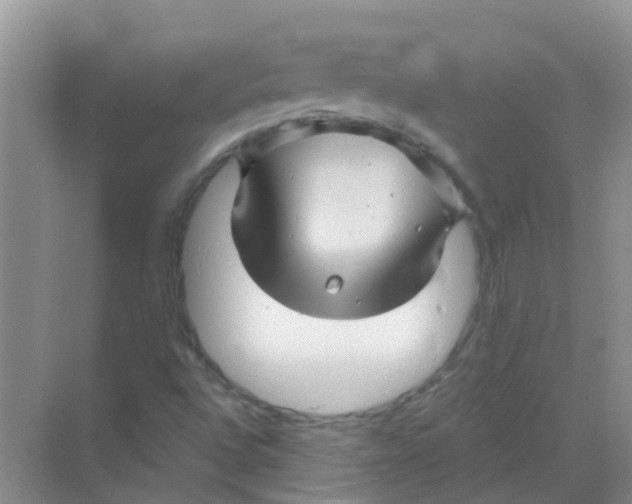 X0000068271496200605121832