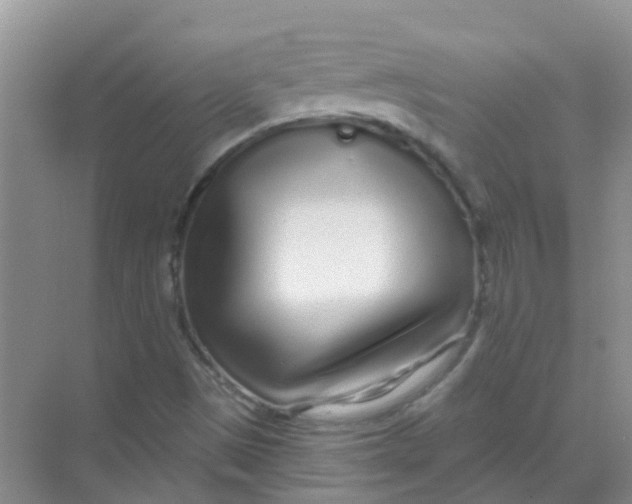 X0000068271497200605121832