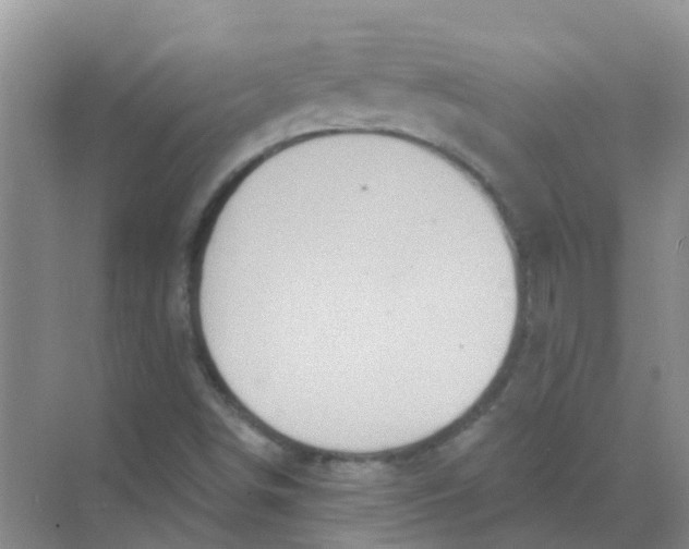 X0000068271498200605121832