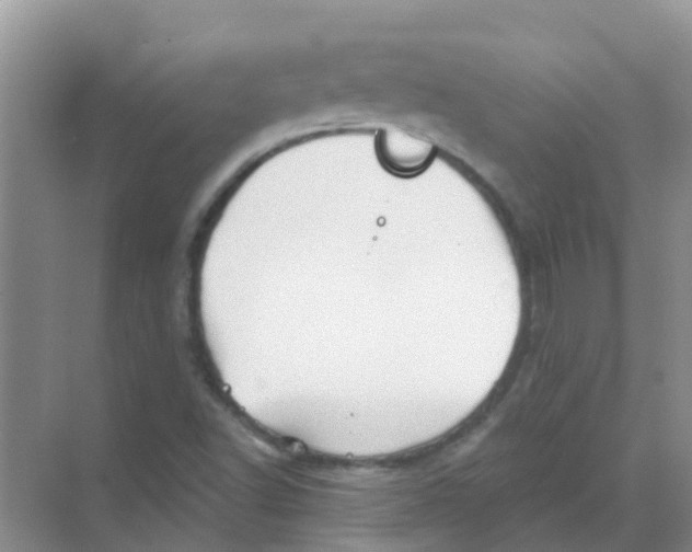 X0000068271502200605121832