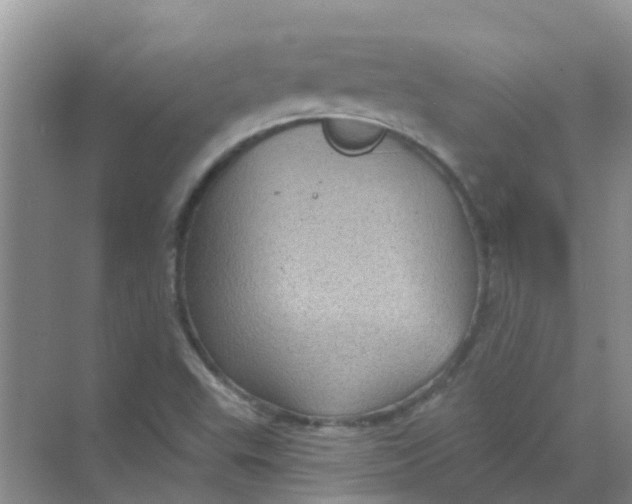 X0000068271503200605121832