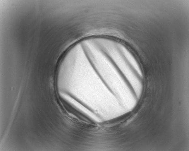 X0000068271505200605121832