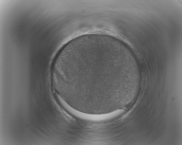 X0000068271506200605121832