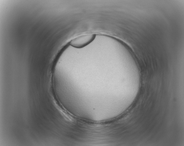 X0000068271507200605121832