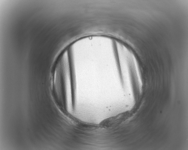 X0000068271509200605121832