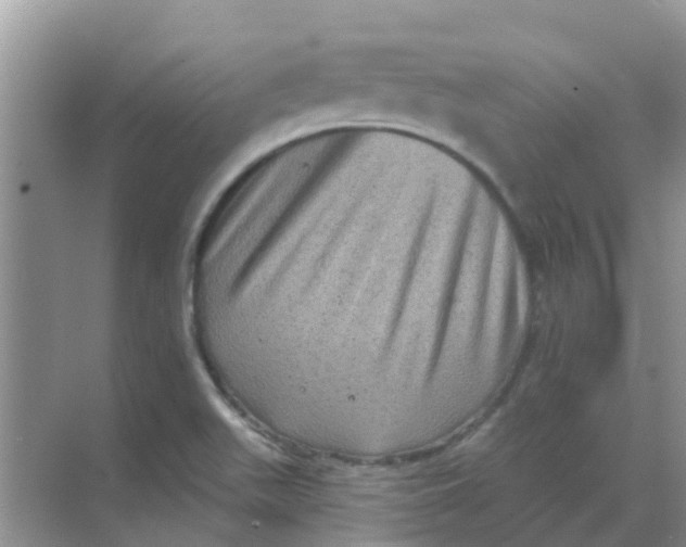 X0000068271511200605121832